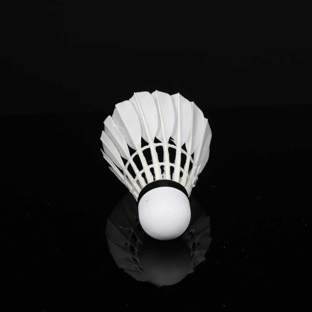 SL9 Badminton shuttlecock