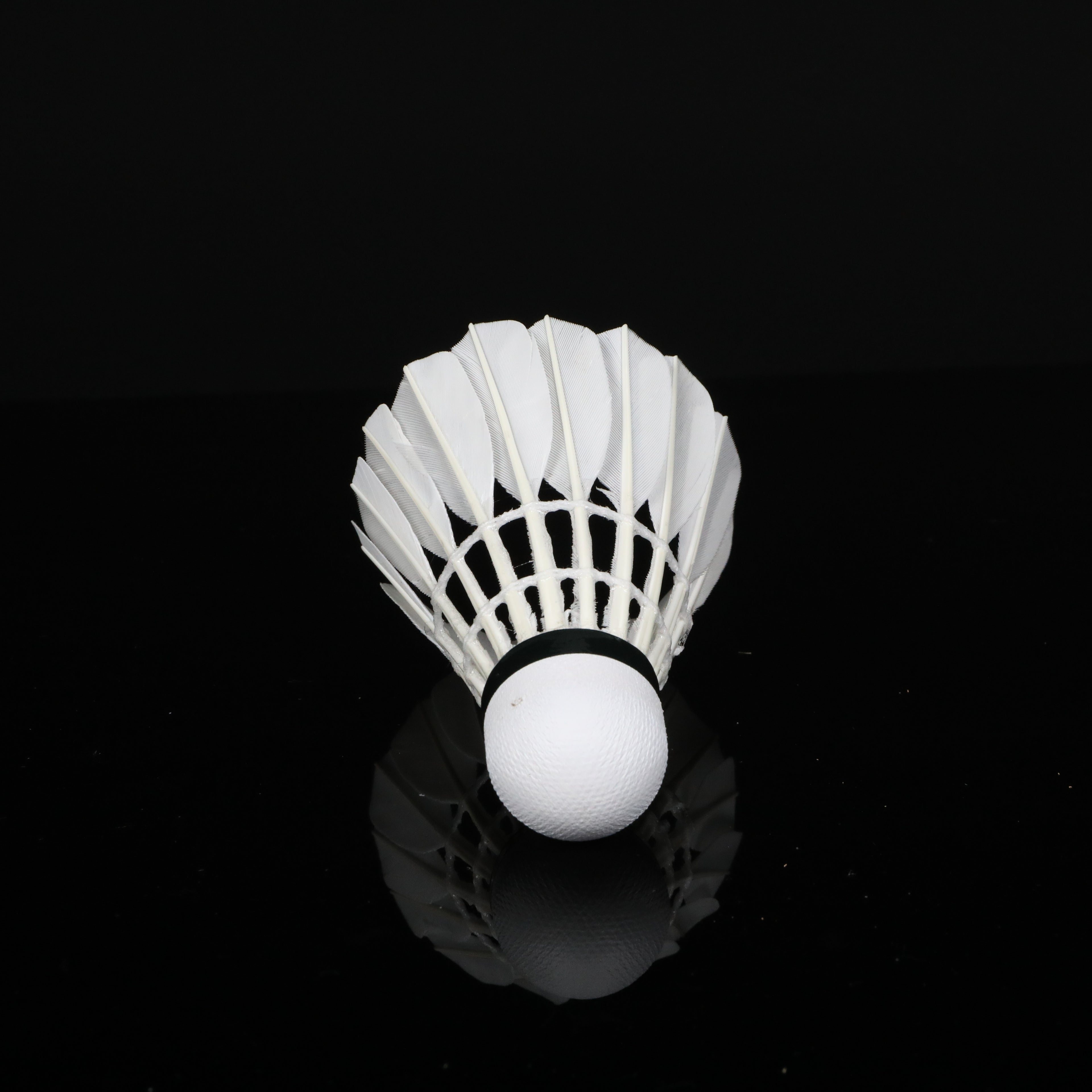 SL9 Badminton shuttlecock