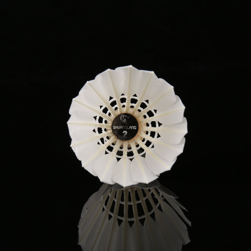 SL2 Badminton shuttlecock