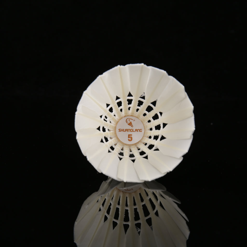 SL5 Badminton shuttlecock