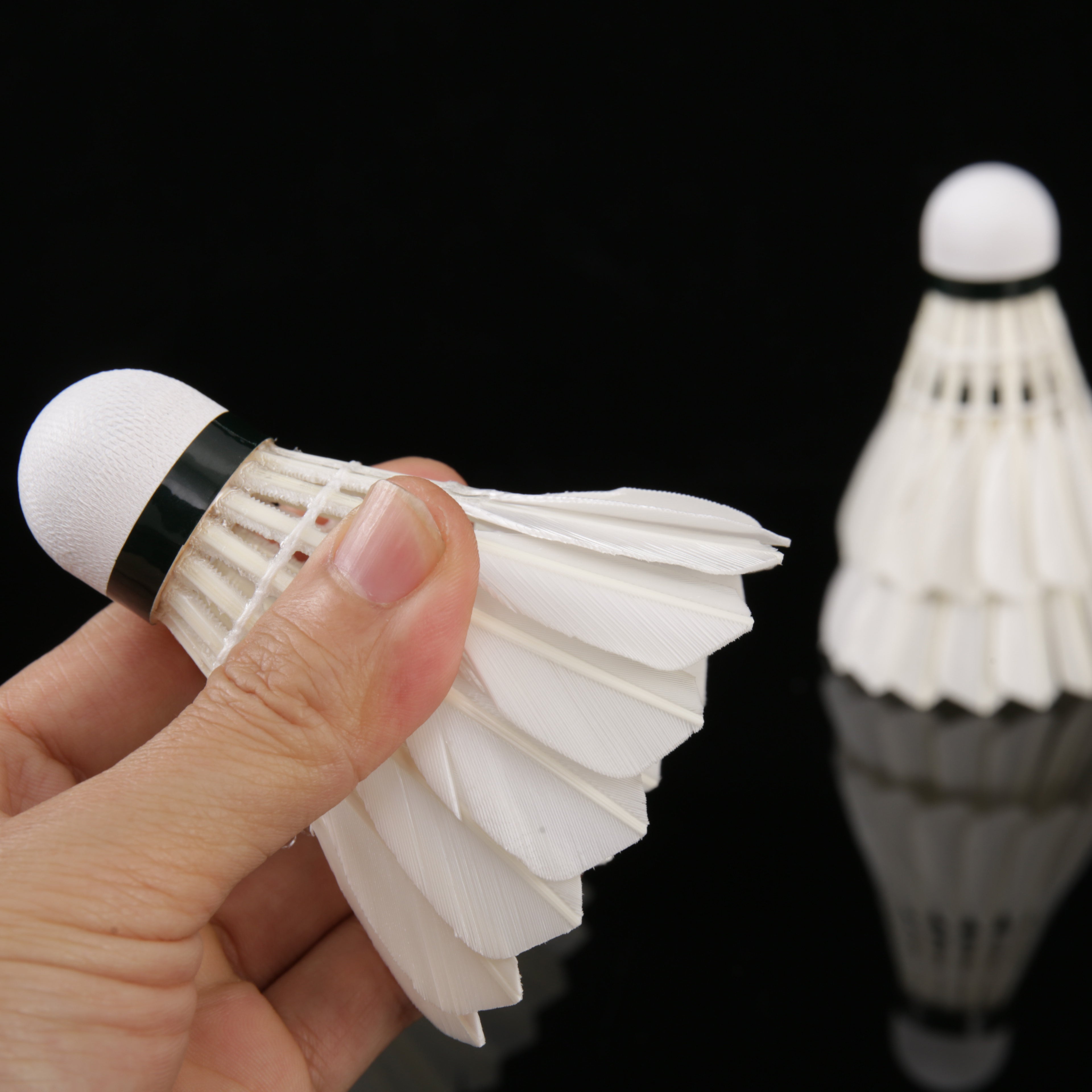 SL5 Badminton shuttlecock
