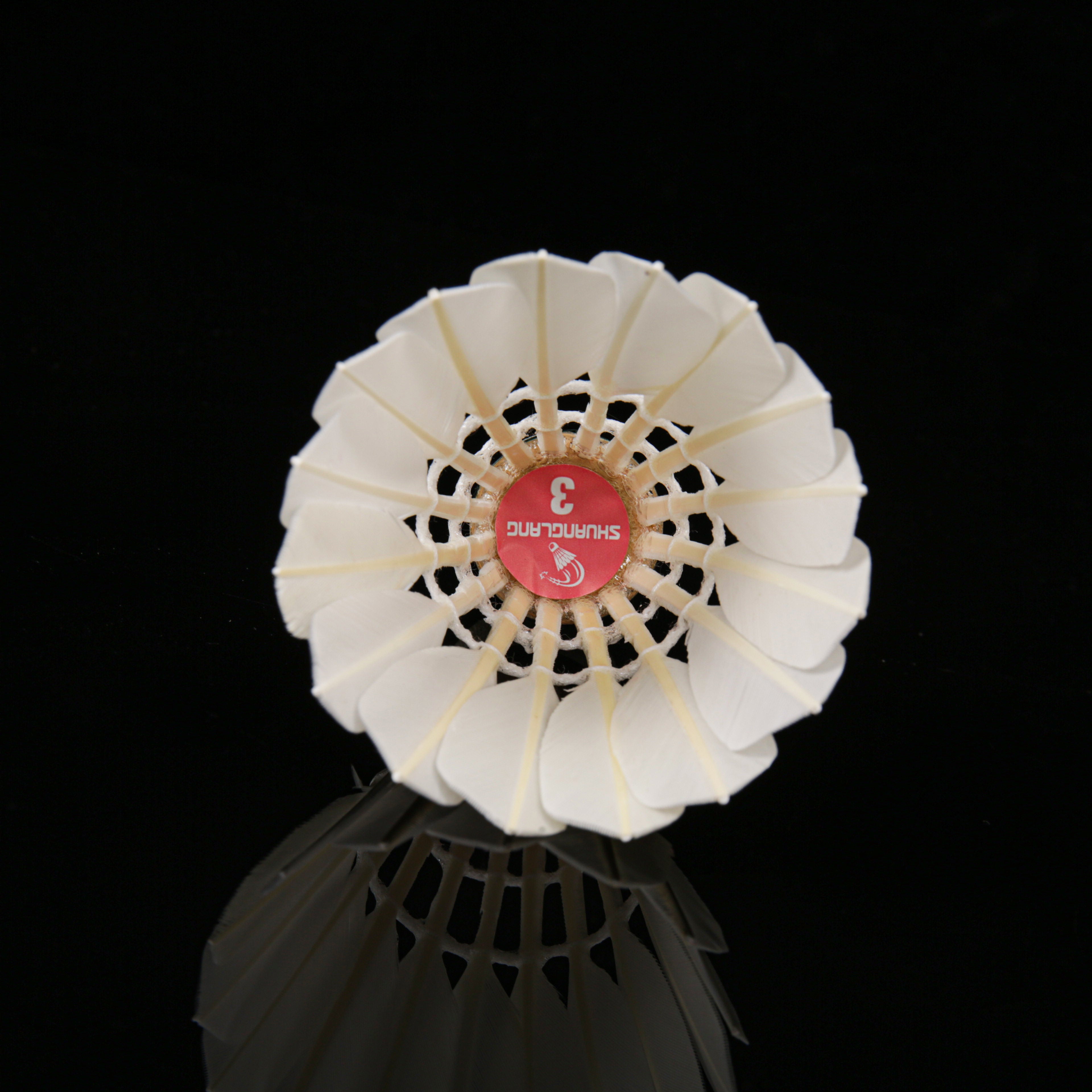 SL3 Badminton shuttlecock