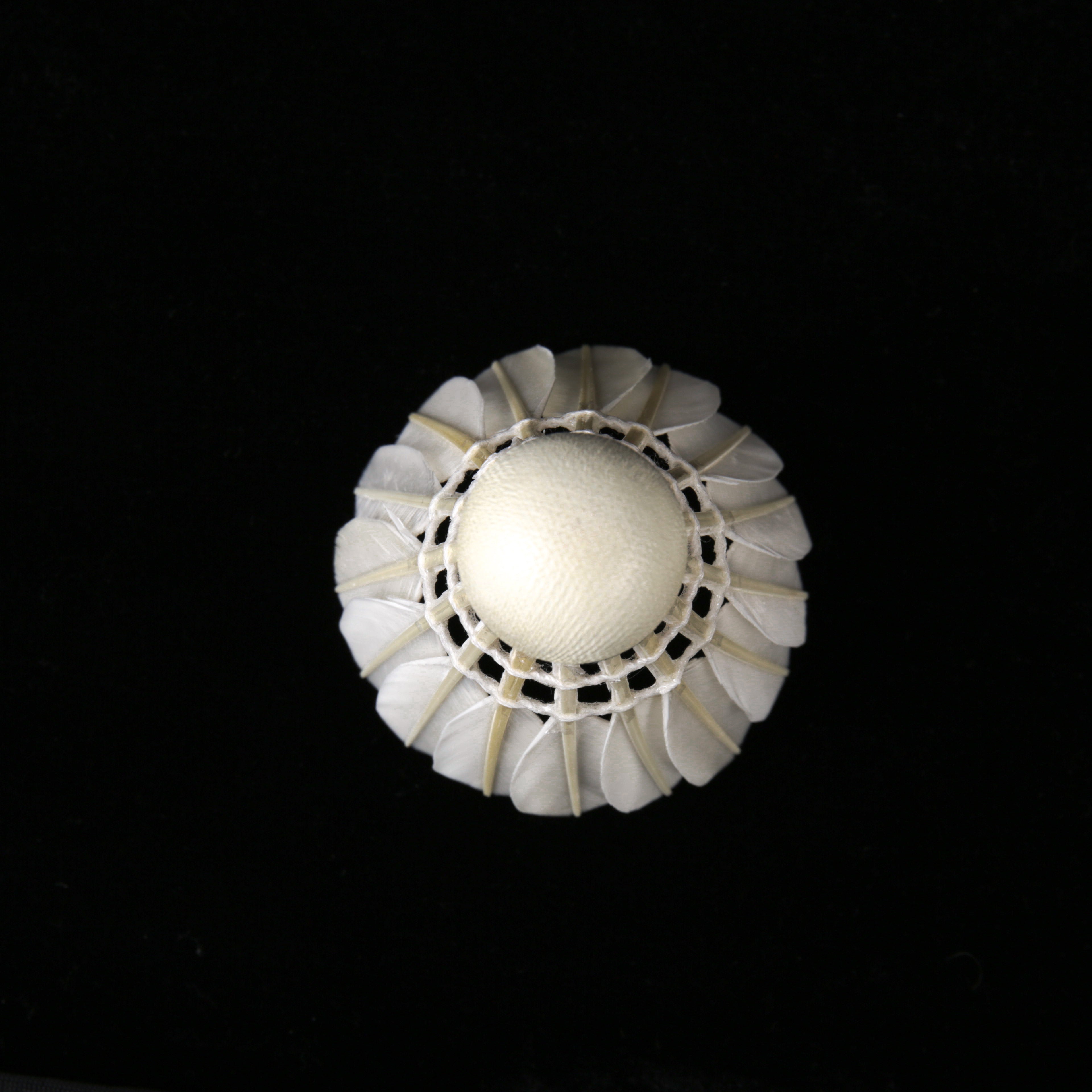 SL3 Badminton shuttlecock